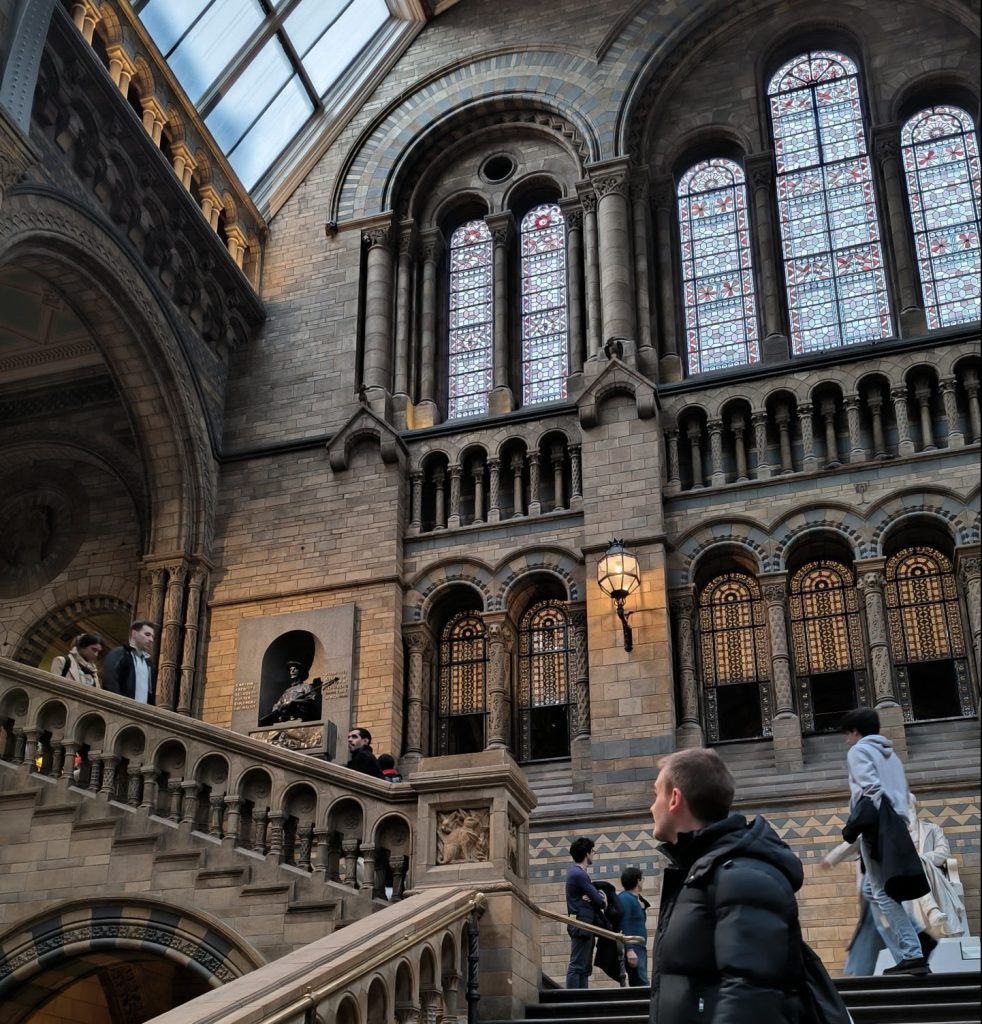Museo de Historia Natural