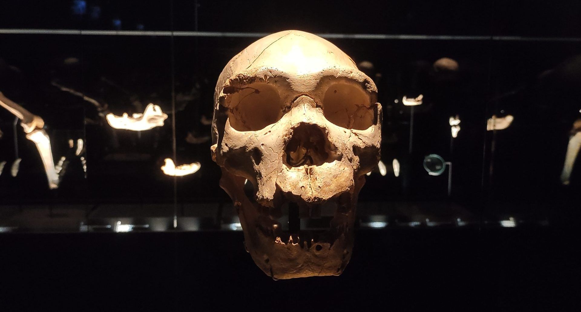 Museo de la Evolución Humana