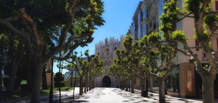 paseo del espolón