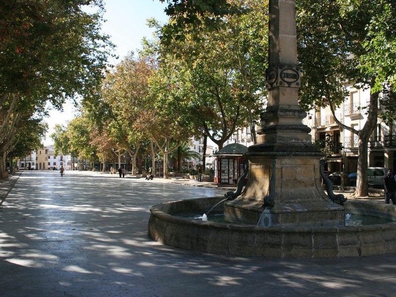 Paseo de la Constitución