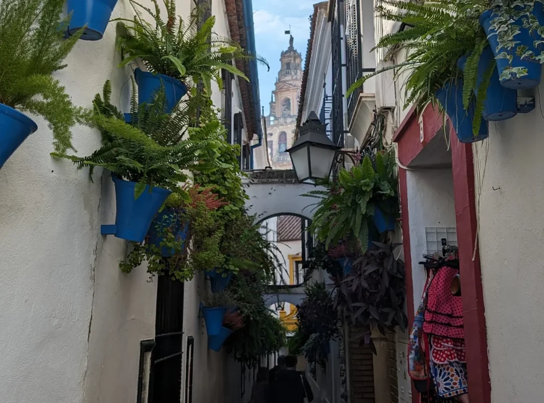 calleja de las flores